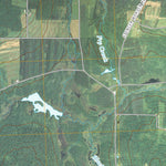 Birdsall, NY (2010, 24000-Scale) Preview 2
