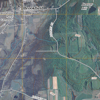 Brookfield, NY (2010, 24000-Scale) Preview 2