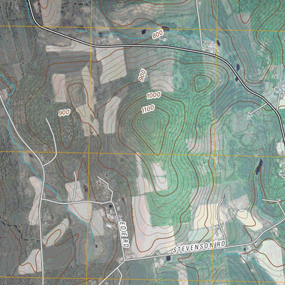 Cambridge, NY (2010, 24000-Scale) Preview 2