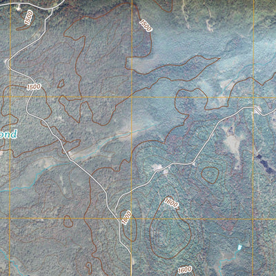 Carry Falls Reservoir, NY (2010, 24000-Scale) Preview 2
