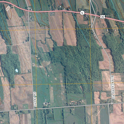 Cayuga, NY (2010, 24000-Scale) Preview 2