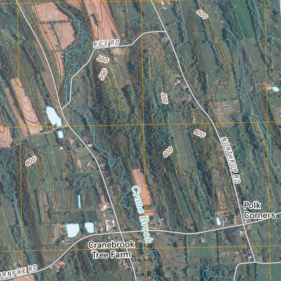 Cayuga, NY (2010, 24000-Scale) Preview 3