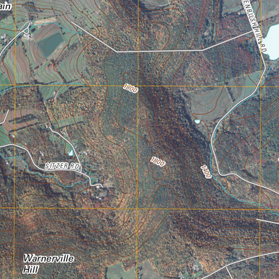 Cobleskill, NY (2010, 24000-Scale) Preview 3