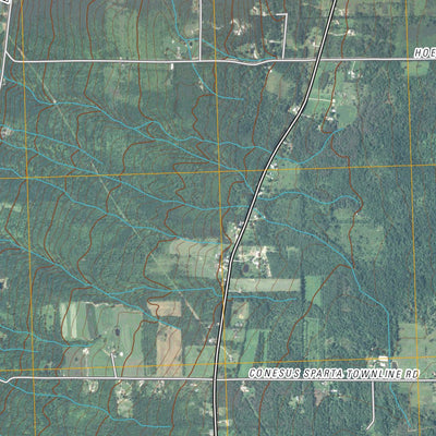 Conesus, NY (2010, 24000-Scale) Preview 2