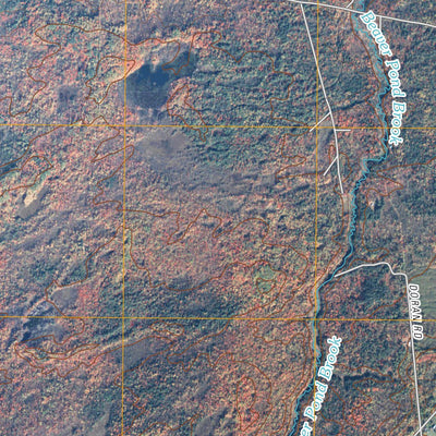 Constable, NY (2010, 24000-Scale) Preview 3