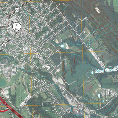 Dansville, NY (2010, 24000-Scale) Preview 2