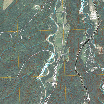 Dansville, NY (2010, 24000-Scale) Preview 3