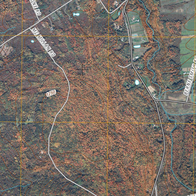 Duanesburg, NY (2010, 24000-Scale) Preview 3