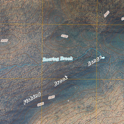 Dun Brook Mountain, NY (2010, 24000-Scale) Preview 2