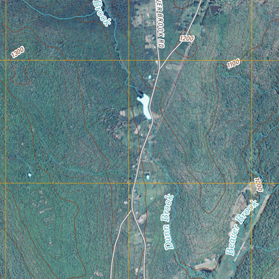 Eldred, NY-PA (2010, 24000-Scale) Preview 2