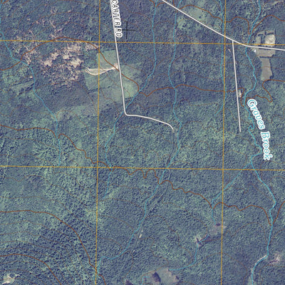 Ellenburg Mountain, NY (2010, 24000-Scale) Preview 3