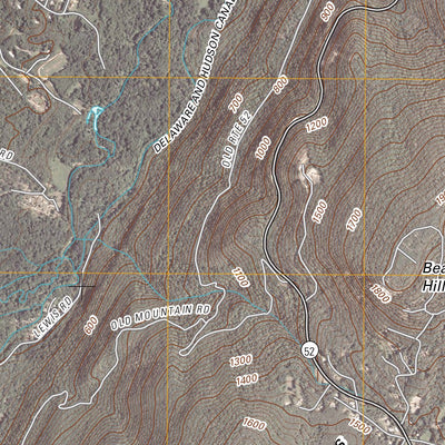 Ellenville, NY (2010, 24000-Scale) Preview 3