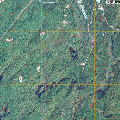 Fine, NY (2010, 24000-Scale) Preview 3