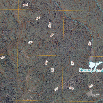 Fort Ann, NY (2010, 24000-Scale) Preview 3