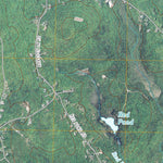 Grafton, NY (2010, 24000-Scale) Preview 3