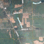 Hannibal, NY (2010, 24000-Scale) Preview 2