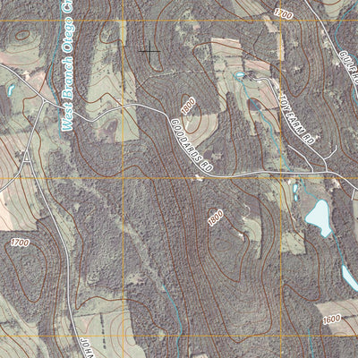 Hartwick, NY (2010, 24000-Scale) Preview 3