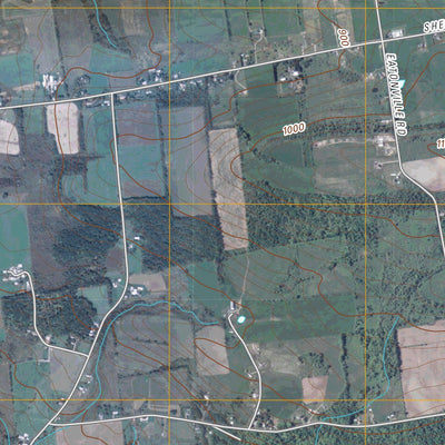 Herkimer, NY (2010, 24000-Scale) Preview 2