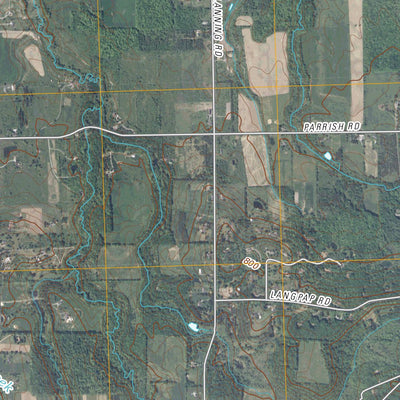 Honeoye Falls, NY (2010, 24000-Scale) Preview 3