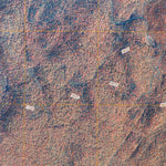 Jackson Summit, NY (2010, 24000-Scale) Preview 3