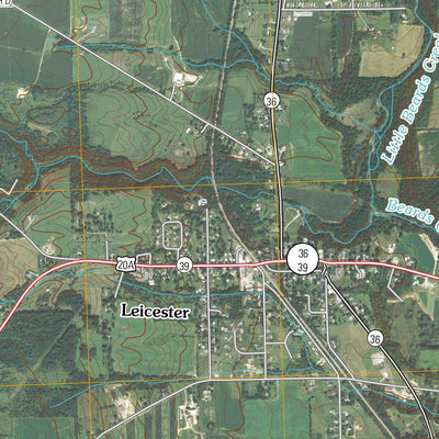 Leicester, NY (2010, 24000-Scale) Preview 3