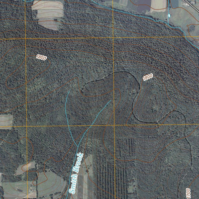 Mcgraw, NY (2010, 24000-Scale) Preview 3