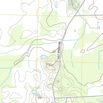Medina, NY (2013, 24000-Scale) Preview 2