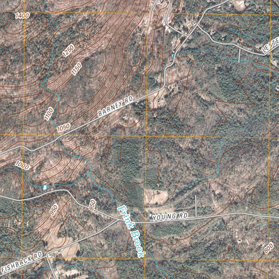 Middle Grove, NY (2010, 24000-Scale) Preview 3