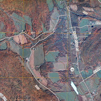 Middleburgh, NY (2010, 24000-Scale) Preview 2