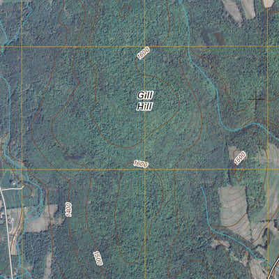 Morris, NY (2010, 24000-Scale) Preview 3