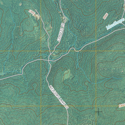 Narrowsburg, NY-PA (2010, 24000-Scale) Preview 3