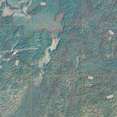 Natural Bridge, NY (2010, 24000-Scale) Preview 3