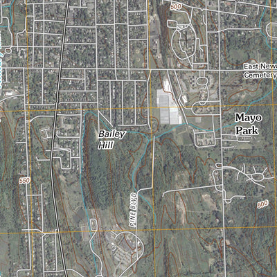 Newark, NY (2010, 24000-Scale) Preview 3
