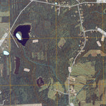Newark Valley, NY (2010, 24000-Scale) Preview 3