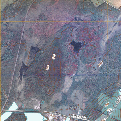 Norfolk, NY (2010, 24000-Scale) Preview 2