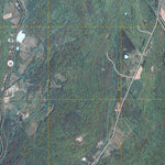 Oneonta, NY (2010, 24000-Scale) Preview 3