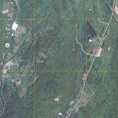 Oneonta, NY (2010, 24000-Scale) Preview 3