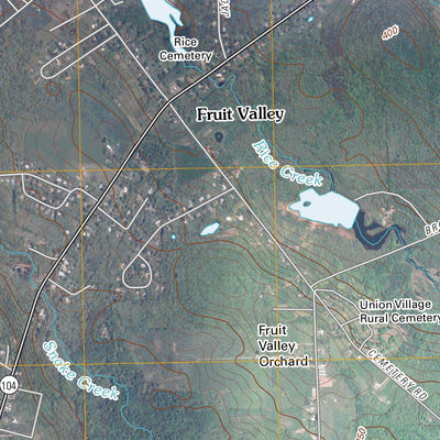Oswego West, NY (2010, 24000-Scale) Preview 2