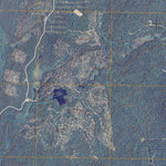 Peasleeville, NY (2010, 24000-Scale) Preview 3