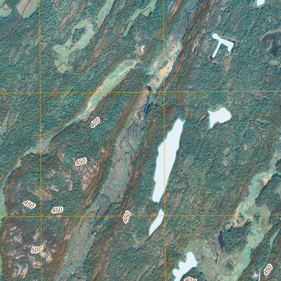 Pope Mills, NY (2010, 24000-Scale) Preview 3