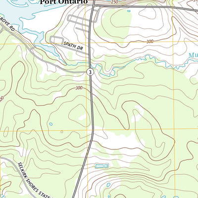 Pulaski, NY (2013, 24000-Scale) Preview 2