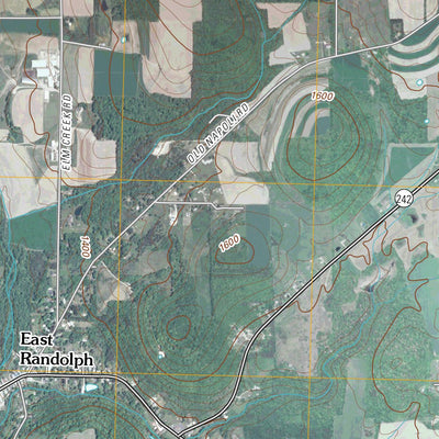 Randolph, NY (2010, 24000-Scale) Preview 2