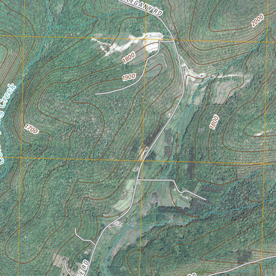 Randolph, NY (2010, 24000-Scale) Preview 3
