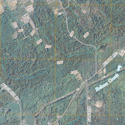 Ripley, NY (2010, 24000-Scale) Preview 3