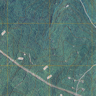 Roscoe, NY (2010, 24000-Scale) Preview 3