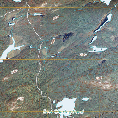 Sabattis, NY (2010, 24000-Scale) Preview 2
