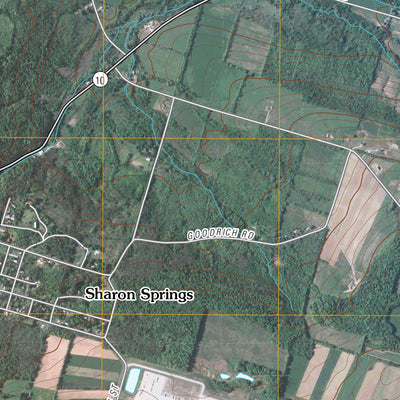 Sharon Springs, NY (2010, 24000-Scale) Preview 3