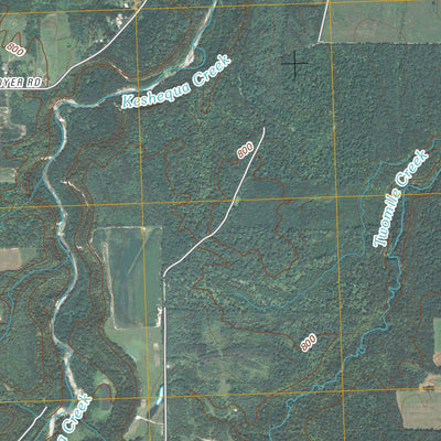 Sonyea, NY (2010, 24000-Scale) Preview 3