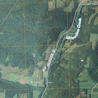 South Canisteo, NY (2010, 24000-Scale) Preview 2