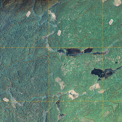 South Edwards, NY (2010, 24000-Scale) Preview 2